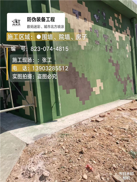 廊坊核心结论：专业提供外墙迷彩漆施工服务